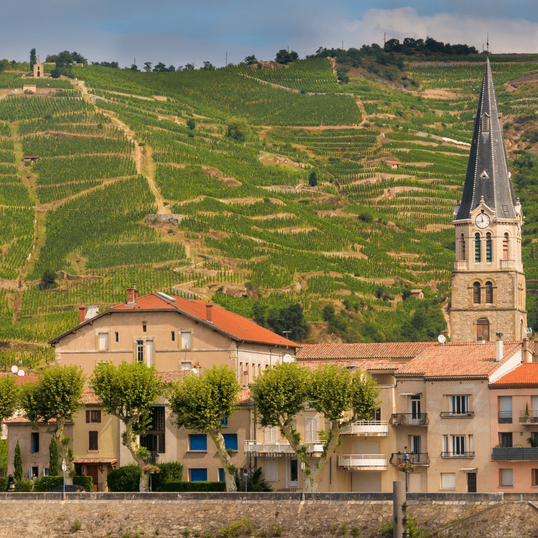 8 Days Provence and Southern Rhone Hiking Holiday